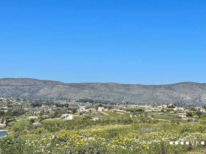 VH CostaBlanca - LLAGRIMA - image 22