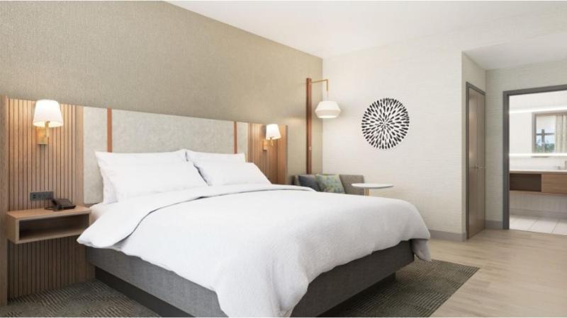 Premium King Room image 2