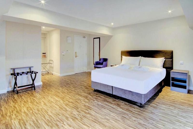 Deluxe Double Room image 3