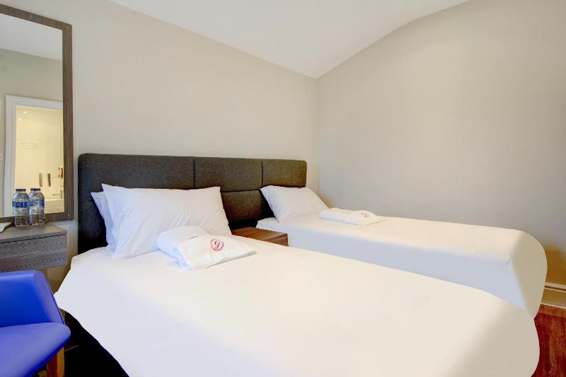 Deluxe Twin Room image 4