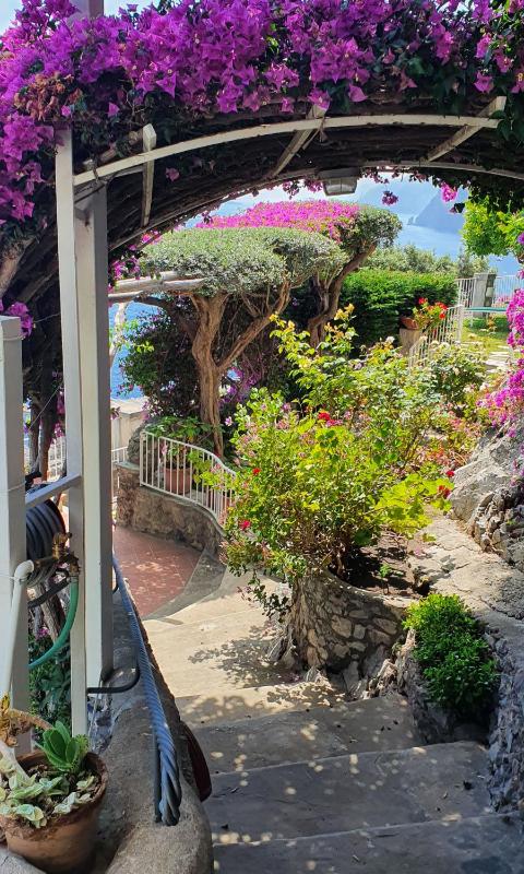 La Maliosa Positano - image 30