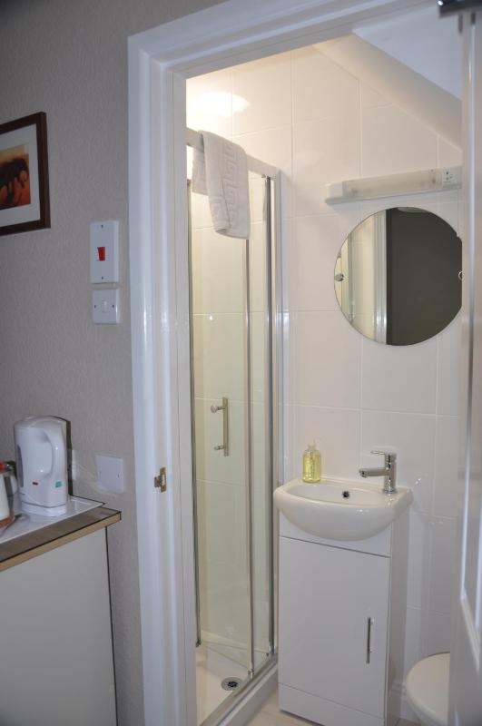 Standard Single Room En-suite with shower image 3