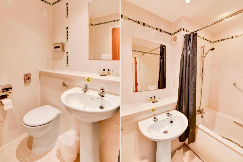 Deluxe Double Room image 2