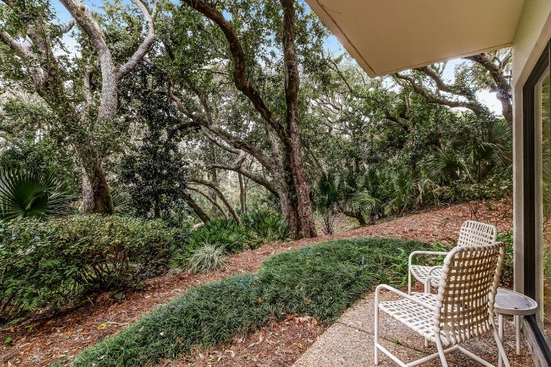 2063 Beachwood Lovely 2 bedroom 2 bath Beach Wood villa is located in Amelia Island Plantation Resort - image 38