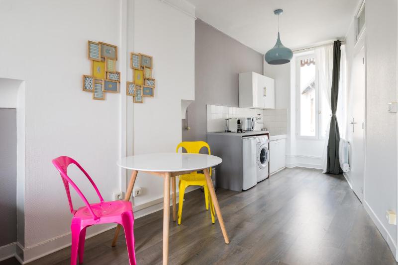Appartement Lyon Villeurbanne - Enjoy in Lyon - image 24