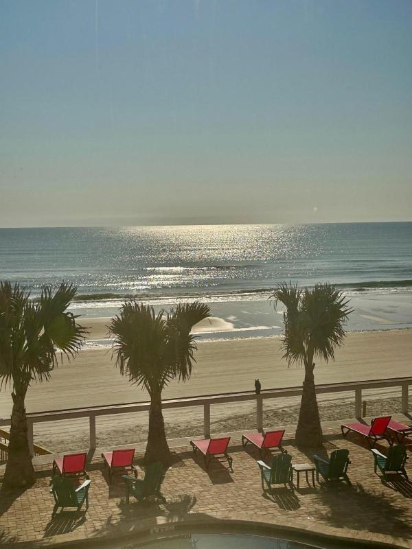 Flamingo Inn Beachfront - Daytona Beach - image 11