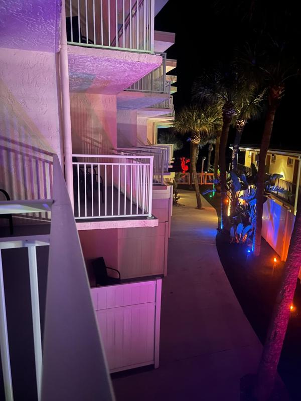 Flamingo Inn Beachfront - Daytona Beach - image 29