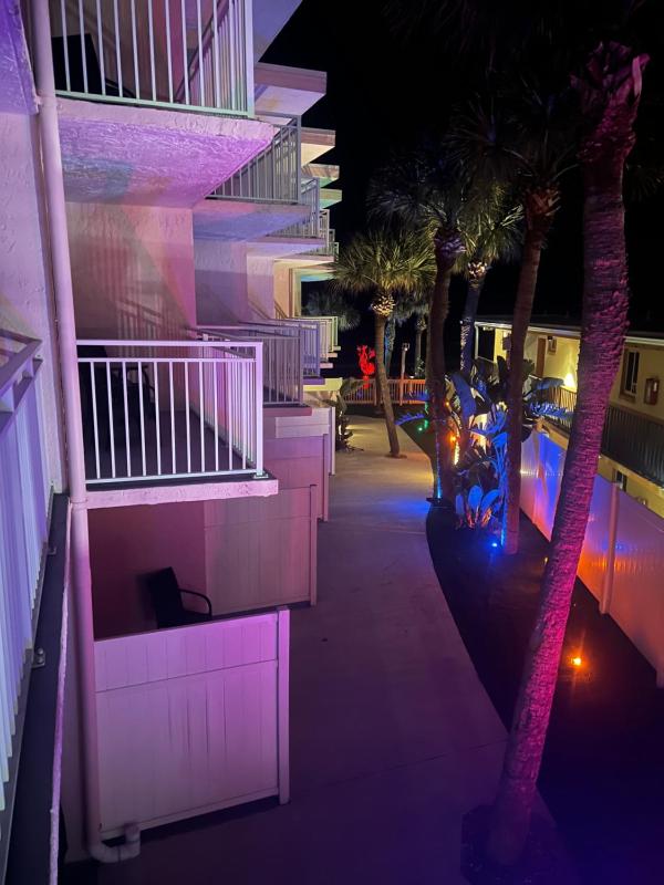 Flamingo Inn Beachfront - Daytona Beach - image 20