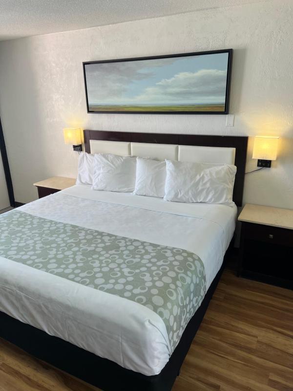 Flamingo Inn Beachfront - Daytona Beach - image 21