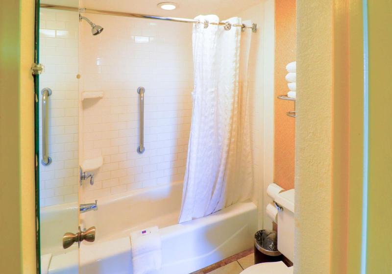 Double Room - Disability Access - Roll In Shower image 4