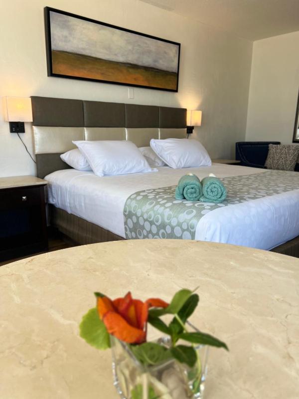 Flamingo Inn Beachfront - Daytona Beach - image 16