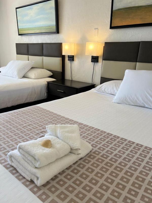 Flamingo Inn Beachfront - Daytona Beach - image 12