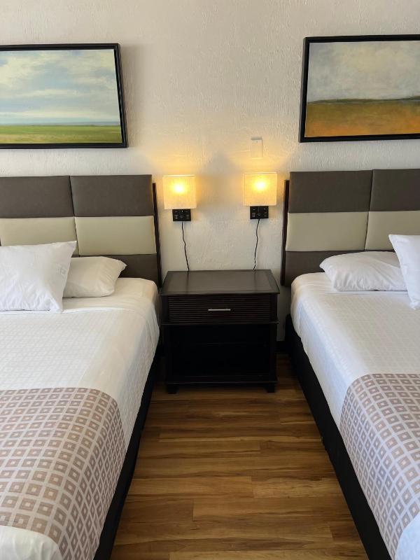 Flamingo Inn Beachfront - Daytona Beach - image 23