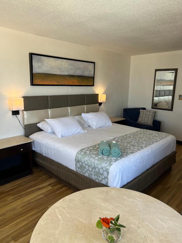 Flamingo Inn Beachfront - Daytona Beach - image 3