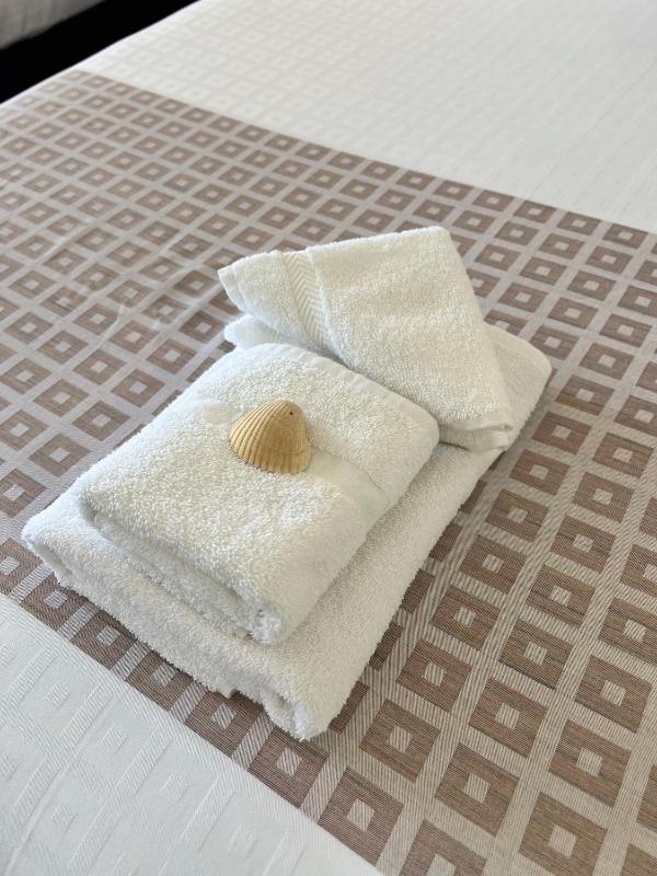 Flamingo Inn Beachfront - Daytona Beach - image 17