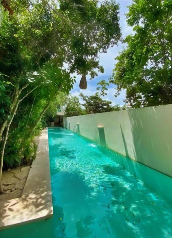 Tulum la Veleta Condo Best Sunrises & Jungle View near Holistika - image 7