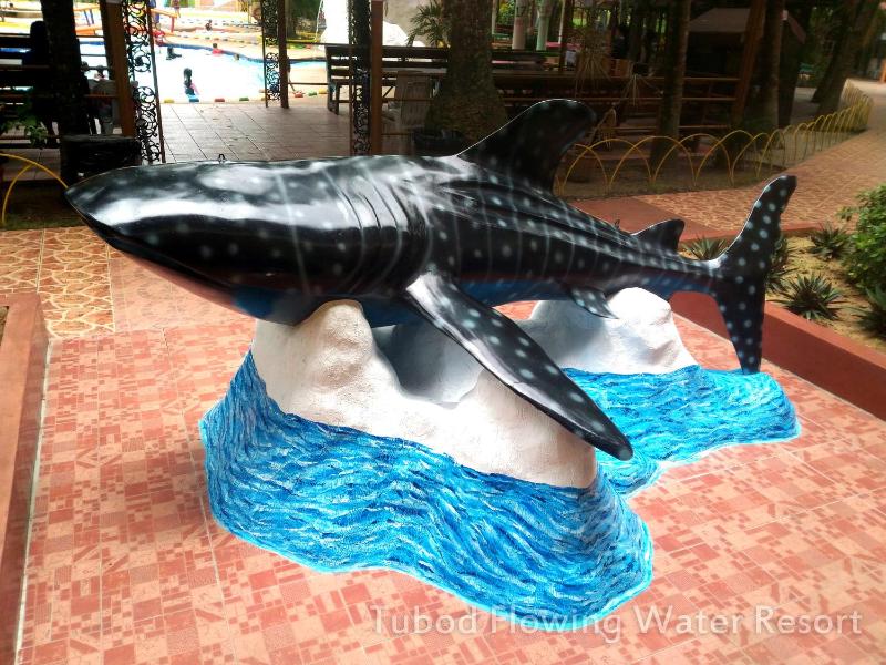 Tubod Flowing Water Resort - image 9