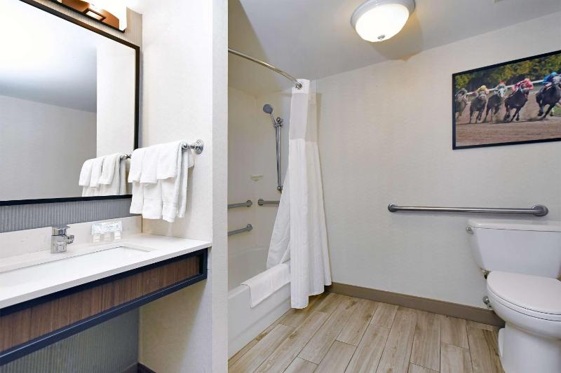 King Room with Bath Tub - Hearing Accessible  image 4