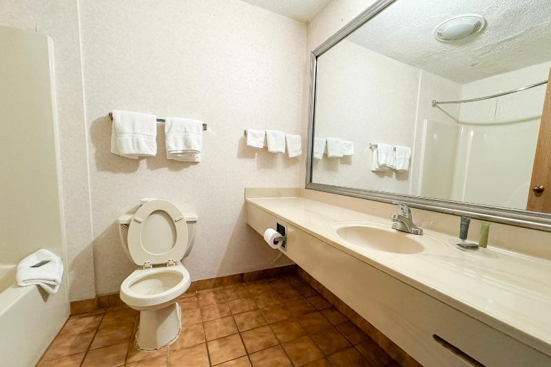 Premium King Bed Non-Smoking with Jetted Tub image 4