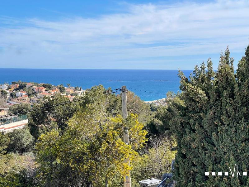 VH CostaBlanca - TIMON - image 40