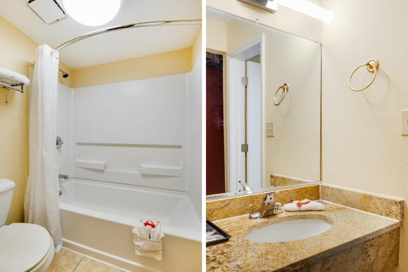 One-Bedroom Suite image 3