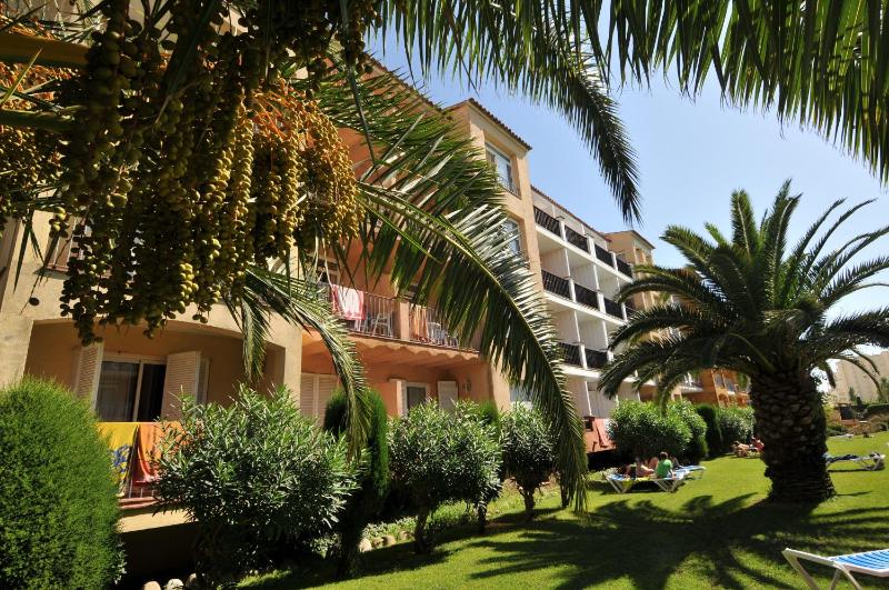 Bertur Gran Reserva Comte Empuries - image 37