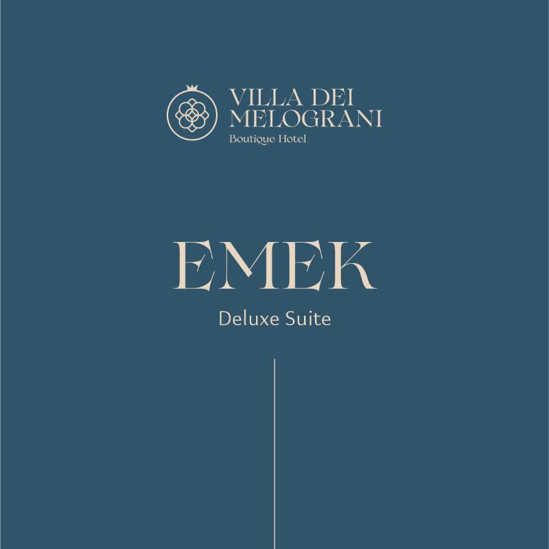 Deluxe Suite image 1