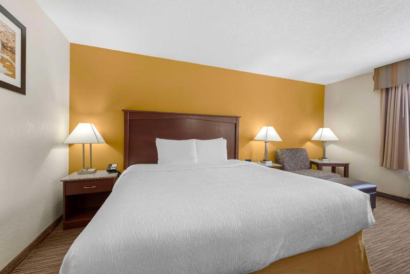 Best Western Executive Inn & Suites - image 40