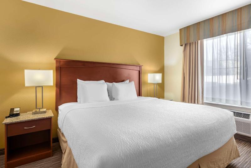 Best Western Executive Inn & Suites - image 25