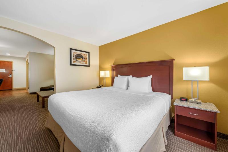 Best Western Executive Inn & Suites - image 4