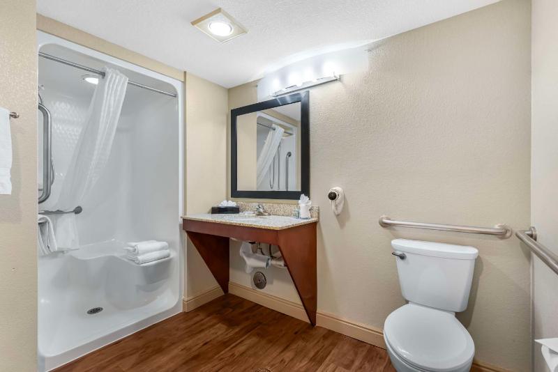 King Room with Walk In Shower - Disability Access image 4
