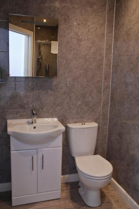 Double or Twin Room image 4