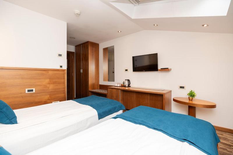 Standard Twin Room image 1