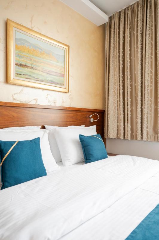 Deluxe Double Room image 3