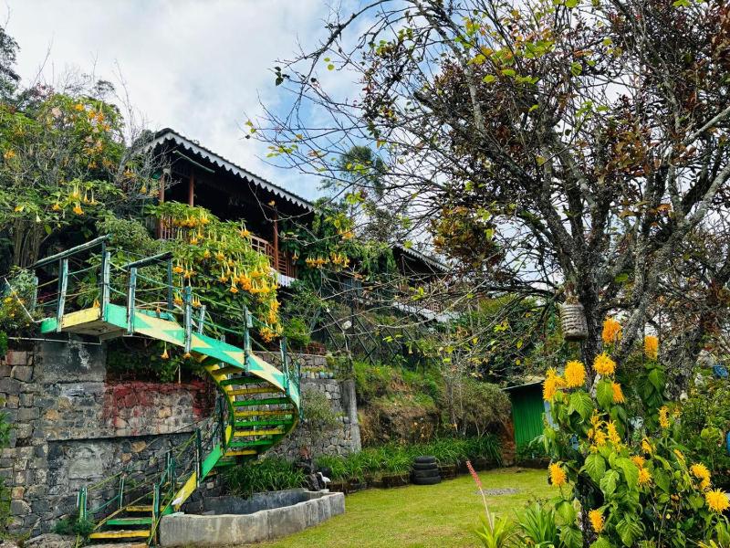 THE KODAI HAVEN - image 8