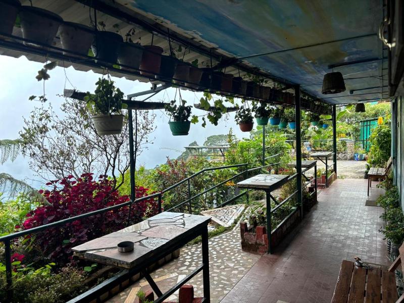 THE KODAI HAVEN - image 11
