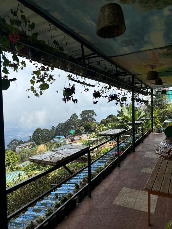 THE KODAI HAVEN - image 14