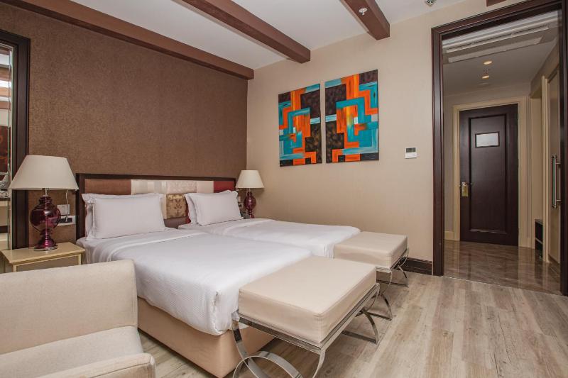 Deluxe Twin Room image 1