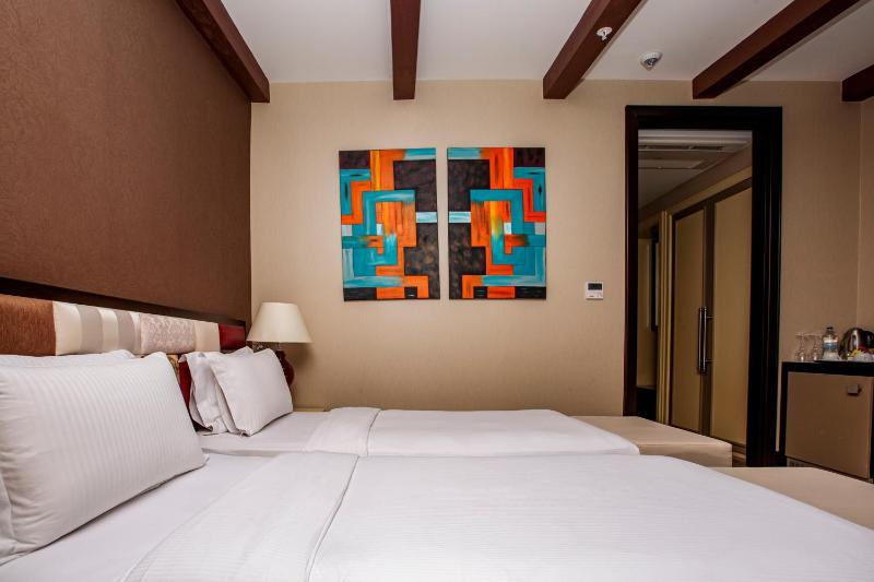 Deluxe Twin Room image 3