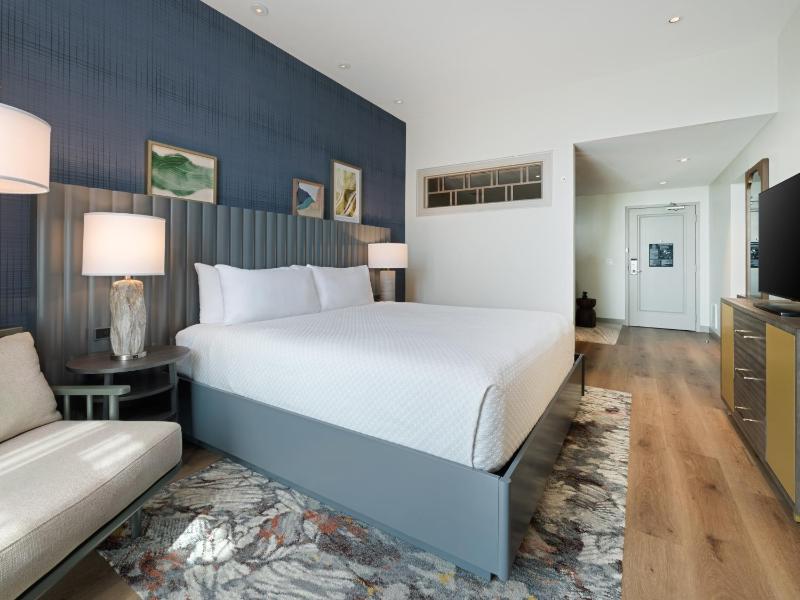 King Executive Suite image 3