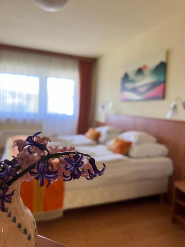 Superior room with AC image 1