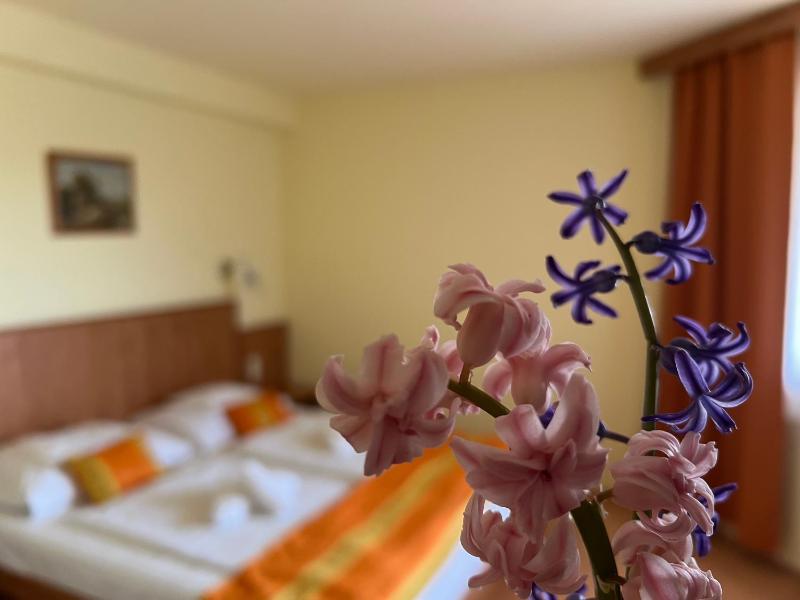 Standard Family Room with AC image 3