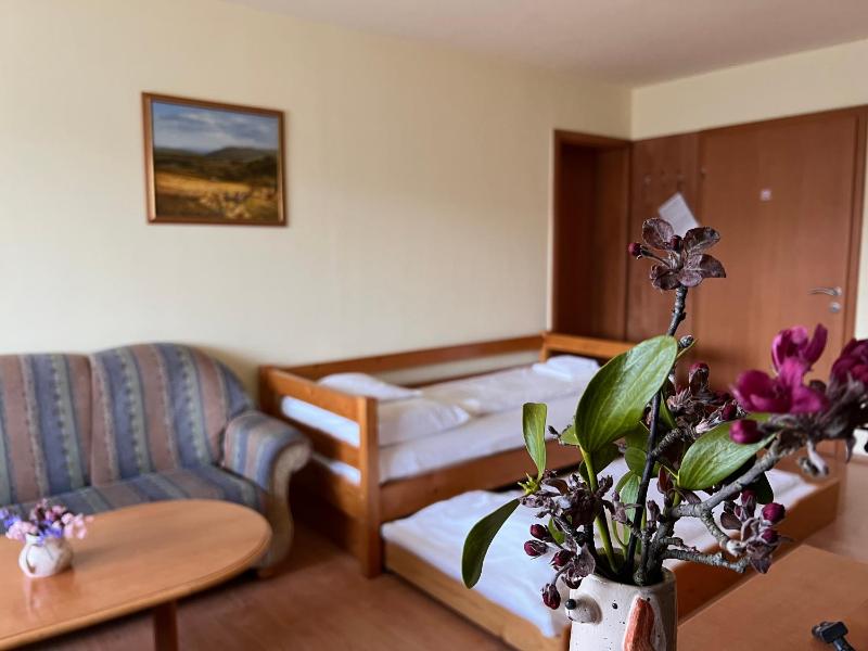 Standard Family Room with AC image 2