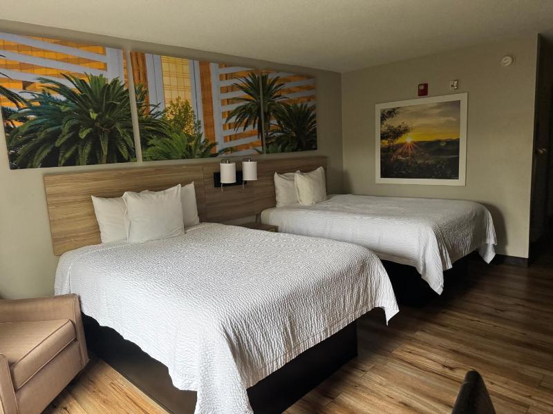 Double Room with Two Double Beds - Disability Access - Non-Smoking image 4