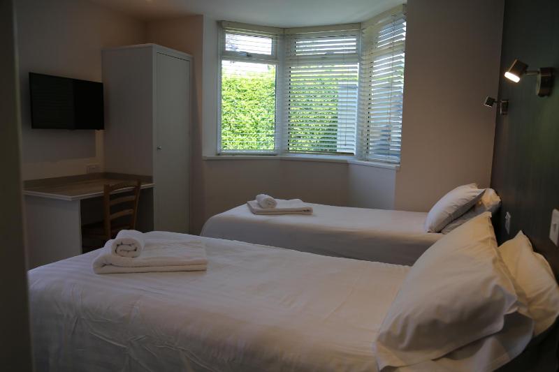 Standard Twin Room image 3