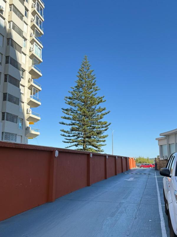 Apartamento en Punta del Este - image 31