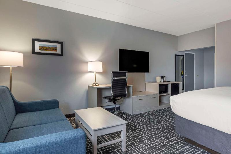 Deluxe King Room with Sofa - Non-Smoking/No Elevator Access image 4