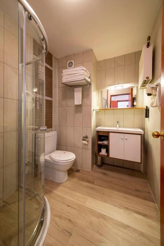 Standard Double or Twin Room image 4