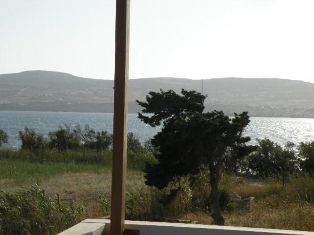 Remvi Studios - image 13