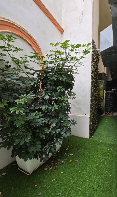 Double room without view image 3